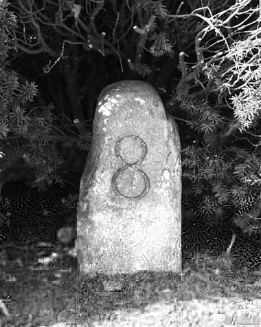 round-top stone, some damage on left, carved with number 8