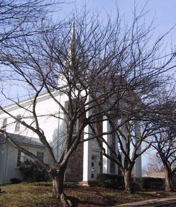 The Church front through the trees