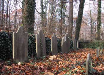 row of headstones against an ivy-covered wall