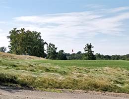 view over a golf green with a red flag, gravel road at bottom