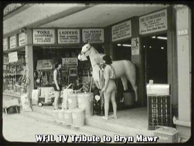 screen shot shows the white horse statue in the entrance to a Bryn Mawr hardware store