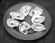plate with oysters on their shells arranged in a circle