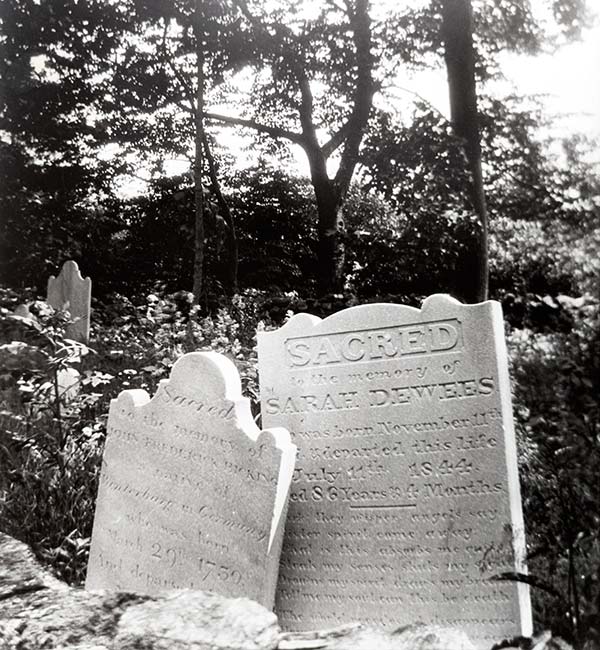 two gravestones in an overgrown plot: John Frederick Bicking leaning against Sarah Dewees