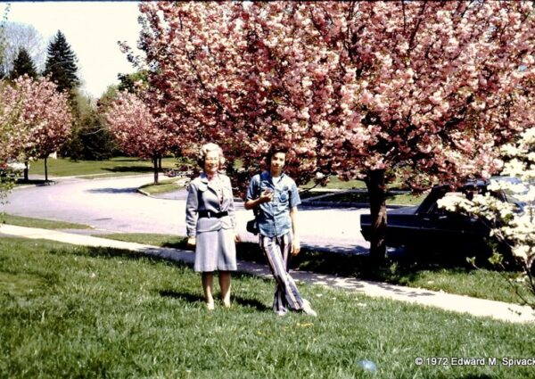Community Rewind: In the Neighborhood