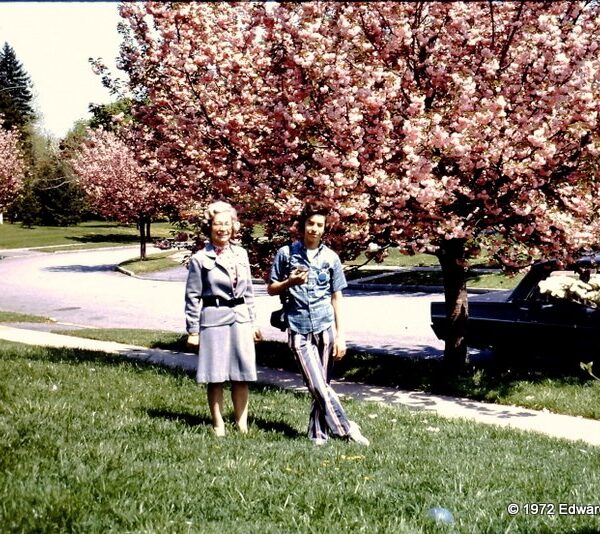 Community Rewind: In the Neighborhood